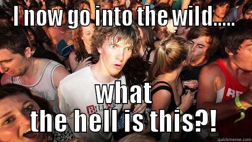 I NOW GO INTO THE WILD..... WHAT THE HELL IS THIS?! Sudden Clarity Clarence