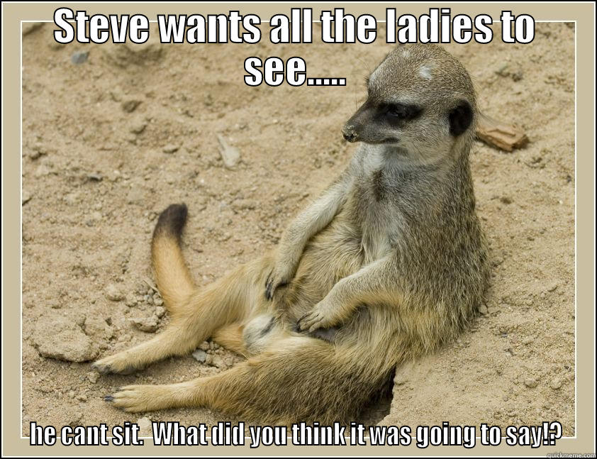 STEVE WANTS ALL THE LADIES TO SEE..... HE CANT SIT.  WHAT DID YOU THINK IT WAS GOING TO SAY!? Misc