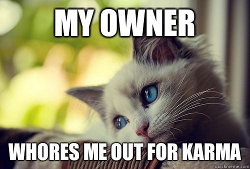 My owner Whores me out for karma  First World Problems Cat