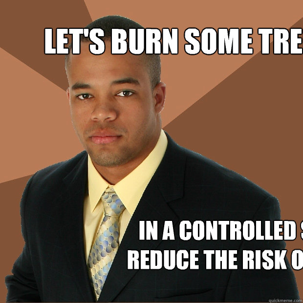 Let's burn some trees In a controlled setting to reduce the risk of wildfires - Let's burn some trees In a controlled setting to reduce the risk of wildfires  Successful Black Man