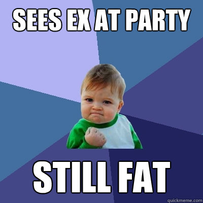 sees ex at party still fat  Success Kid