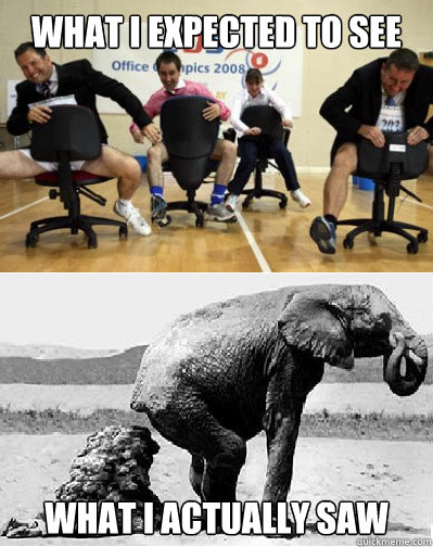 What I expected to see What I actually saw - What I expected to see What I actually saw  Office Olympics