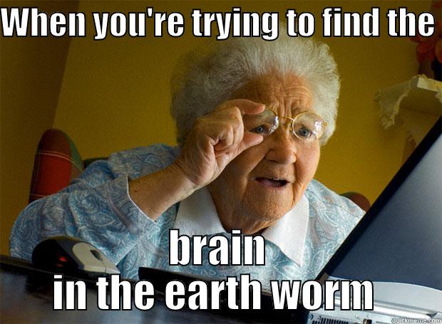 WHEN YOU'RE TRYING TO FIND THE  BRAIN IN THE EARTH WORM  Grandma finds the Internet