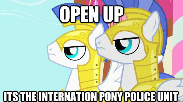 Open up Its the internation Pony Police Unit  MLP FIM guards