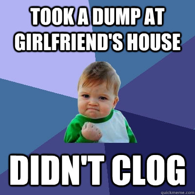 took a dump at girlfriend's house didn't clog  Success Kid