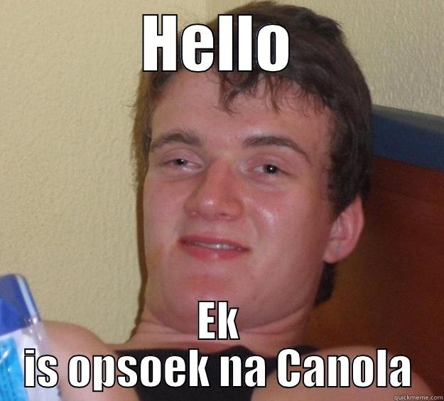 HELLO EK IS OPSOEK NA CANOLA 10 Guy