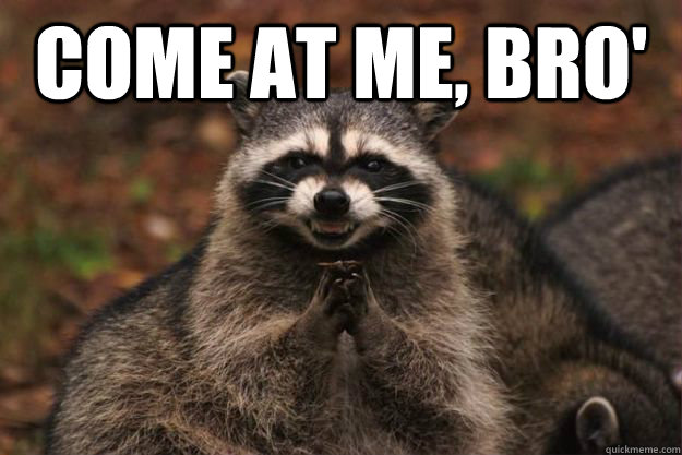 Come at me, bro'   Evil Plotting Raccoon