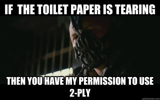 If  the toilet paper is tearing then you have my permission to use 2-ply - If  the toilet paper is tearing then you have my permission to use 2-ply  Badass Bane