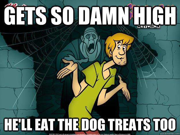 gets so damn high he'll eat the dog treats too  Irrational Shaggy