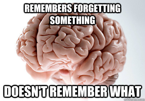 Remembers forgetting something doesn't remember what  Scumbag Brain