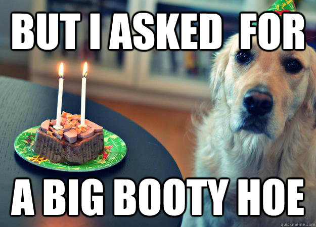 But i asked  for  a big booty hoe  Sad Birthday Dog