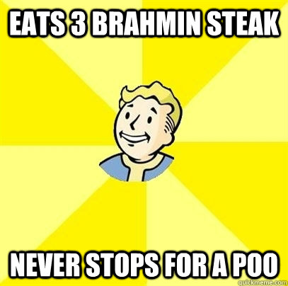 Eats 3 Brahmin steak never stops for a poo  Fallout 3