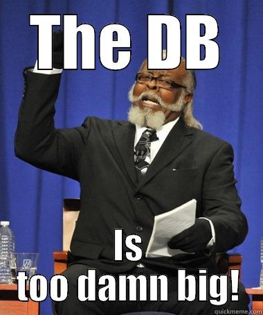 THE DB IS TOO DAMN BIG! The Rent Is Too Damn High