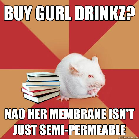 buy gurl drinkz? nao her membrane isn't just semi-permeable  Science Major Mouse