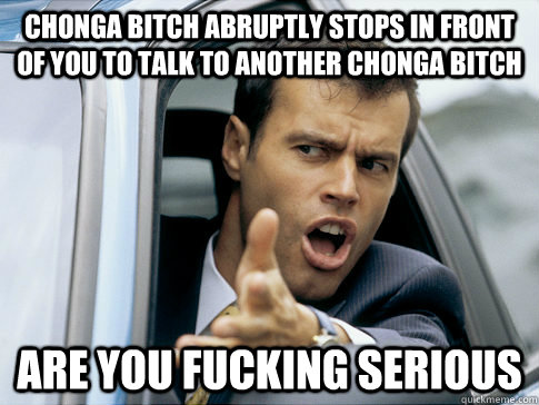 Chonga bitch abruptly stops in front of you to talk to another chonga bitch are you fucking serious  Asshole driver