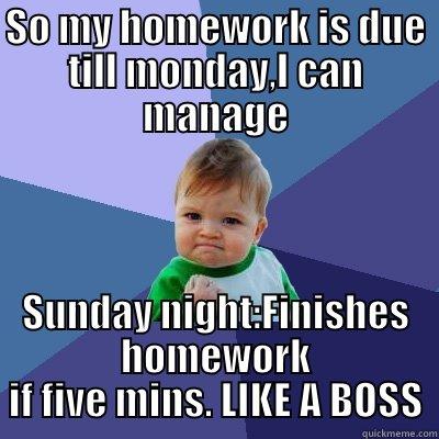 SO MY HOMEWORK IS DUE TILL MONDAY,I CAN MANAGE SUNDAY NIGHT:FINISHES HOMEWORK IF FIVE MINS. LIKE A BOSS Success Kid