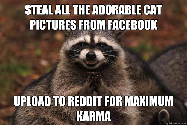 steal all the adorable cat pictures from facebook  upload to reddit for maximum karma  - steal all the adorable cat pictures from facebook  upload to reddit for maximum karma   Evil Plotting Raccoon