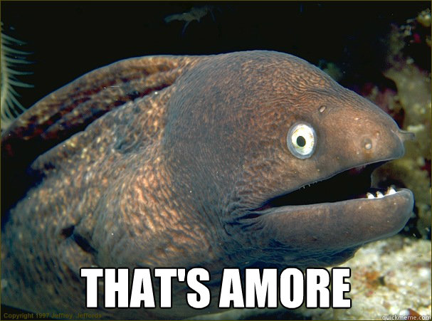  That's amore  Bad Joke Eel