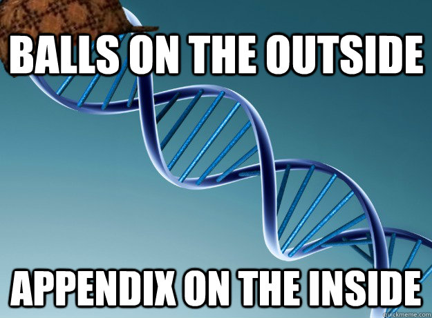 balls on the outside appendix on the inside  Scumbag Genetics