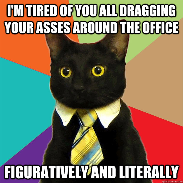 I'm tired of you all dragging your asses around the office Figuratively and literally  Business Cat