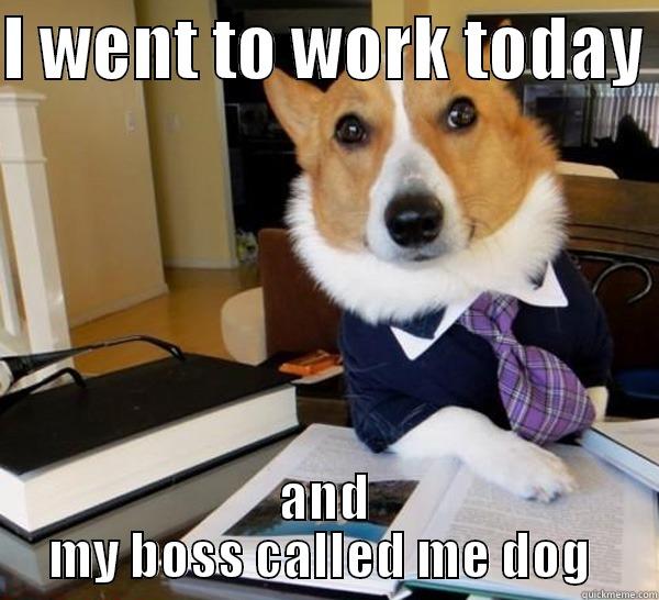 my boss called me a dog - I WENT TO WORK TODAY  AND MY BOSS CALLED ME DOG  Lawyer Dog