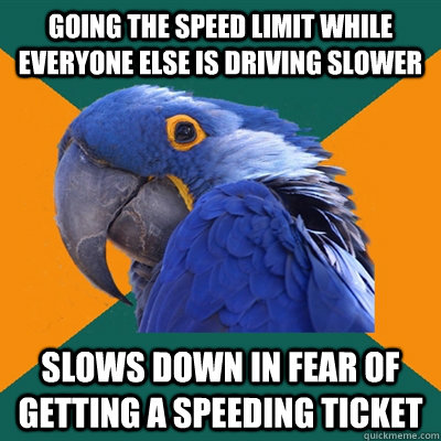 Going the speed limit while everyone else is driving slower Slows down in fear of getting a speeding ticket  Paranoid Parrot