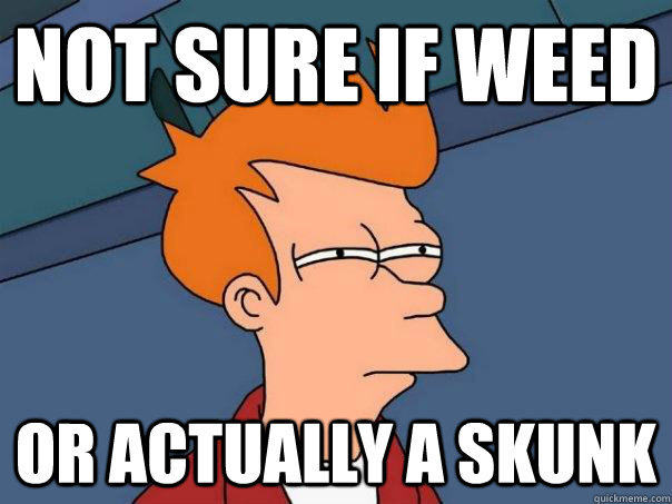 Not sure if weed Or actually a skunk - Not sure if weed Or actually a skunk  Futurama Fry