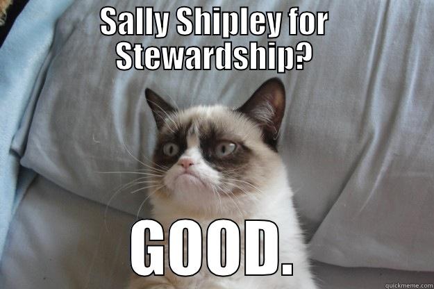 SALLY SHIPLEY FOR STEWARDSHIP? GOOD. Grumpy Cat