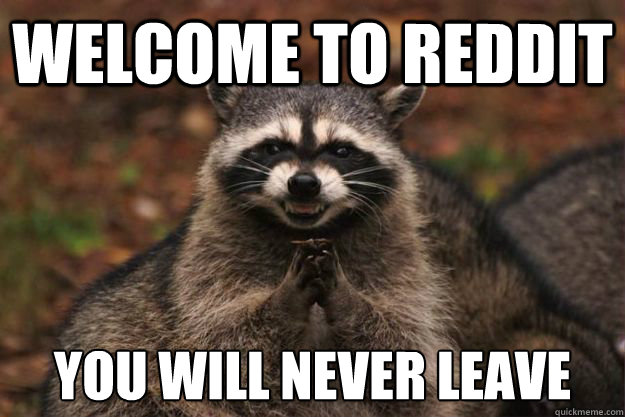 Welcome to reddit you will never leave - Welcome to reddit you will never leave  Evil Plotting Raccoon