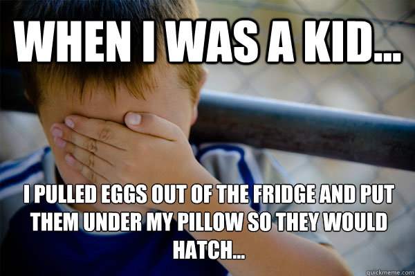 WHEN I WAS A KID... I pULLED EGGS OUT OF THE FRIDGE AND PUT THEM UNDER MY PILLOW SO THEY WOULD HATCH...
  Confession kid