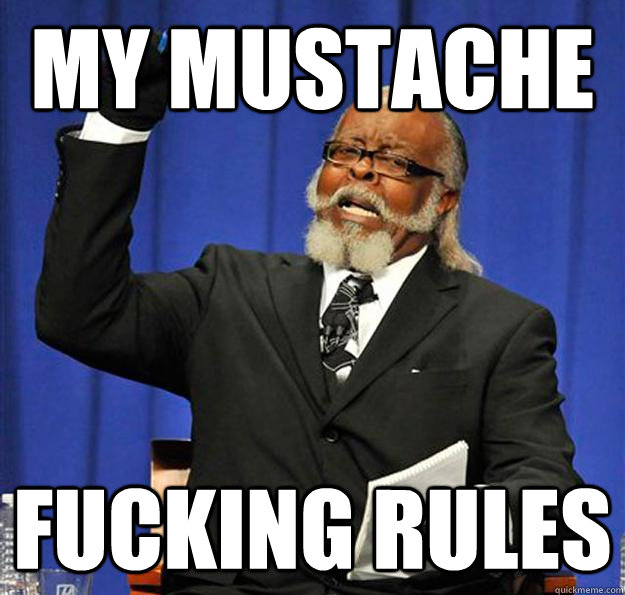 My Mustache Fucking Rules  Jimmy McMillan