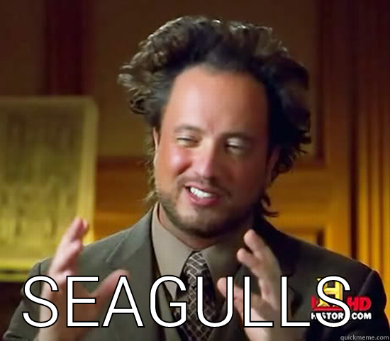  SEAGULLS Ancient Aliens