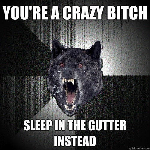 You're a crazy bitch sleep in the gutter instead - You're a crazy bitch sleep in the gutter instead  Insanity Wolf