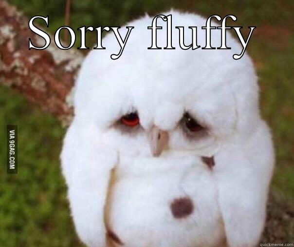 Sorry owl - SORRY FLUFFY  Misc