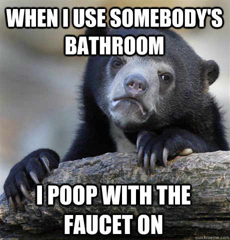 when i use somebody's bathroom I poop with the faucet on  Confession Bear