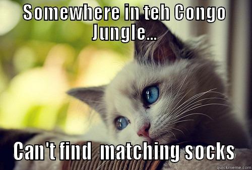 SOMEWHERE IN TEH CONGO JUNGLE... CAN'T FIND  MATCHING SOCKS First World Problems Cat