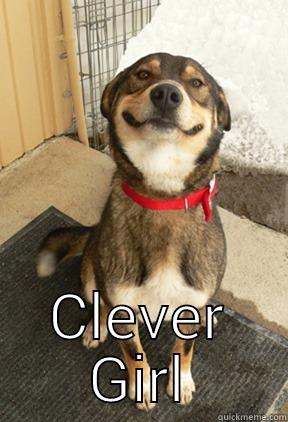 Clever dog -  CLEVER GIRL Good Dog Greg