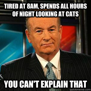 tired at 8am, spends all hours of night looking at cats You can't explain that  Bill O Reilly