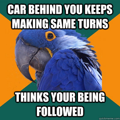 car behind you keeps making same turns thinks your being followed  Paranoid Parrot