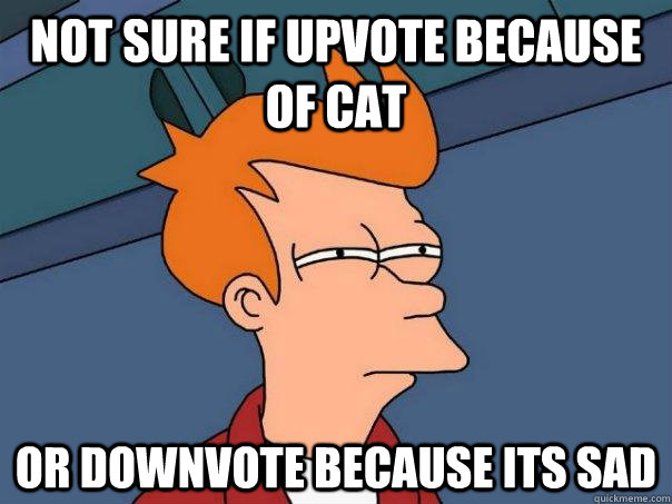 Not sure if upvote because of cat Or downvote because its sad - Not sure if upvote because of cat Or downvote because its sad  Futurama Fry