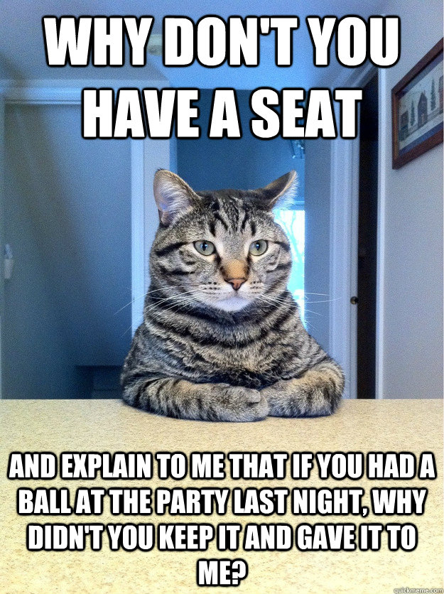 Why don't you have a seat and explain to me that if you had a ball at the party last night, why didn't you keep it and gave it to me?  Chris Hansen Cat