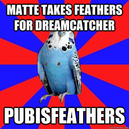 matte takes feathers for dreamcatcher pubisfeathers  