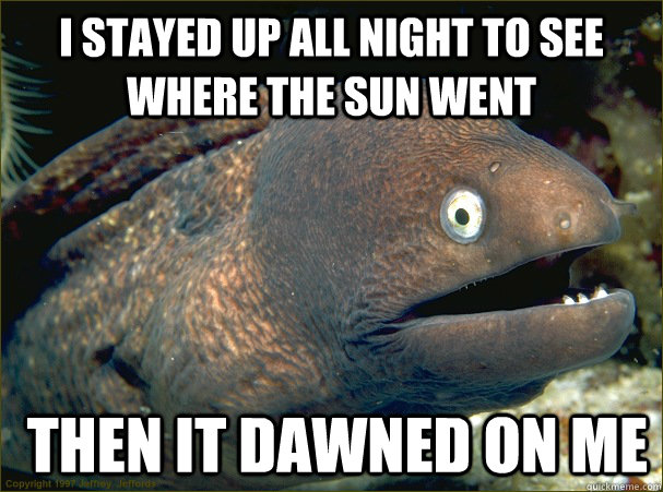 I stayed up all night to see where the sun went  Then it dawned on me  Bad Joke Eel