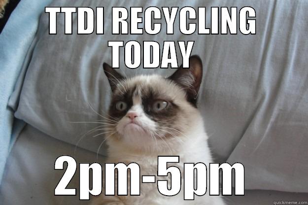 TTDI RECYCLING TODAY 2PM-5PM Grumpy Cat