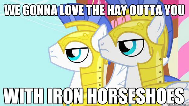 we gonna love the hay outta you with iron horseshoes  MLP FIM guards