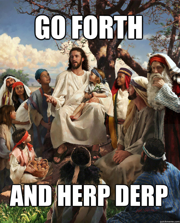 Go forth And herp derp - Go forth And herp derp  Story Time Jesus