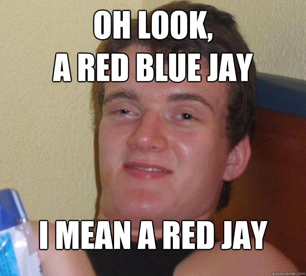 oh look, 
a red blue Jay I Mean a Red Jay  10 Guy