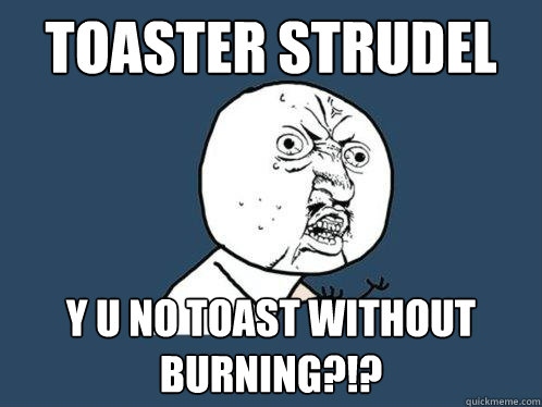 Toaster strudel  y u no toast without burning?!?  Y U No