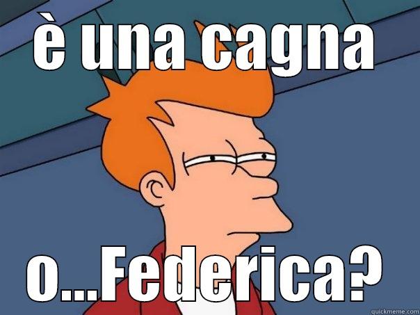 Dog woof woof :) - È UNA CAGNA O...FEDERICA? Futurama Fry