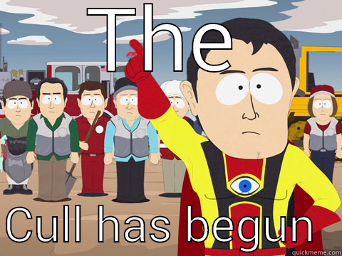 THE  CULL HAS BEGUN  Captain Hindsight